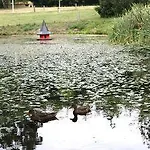 Fjelsted Skov & Konference Ejby (Middelfart)