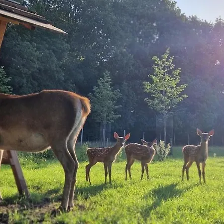 Hotel Fjelsted Skov & Konference 3*