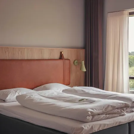 Fjelsted Skov & Konference ホテル 3*