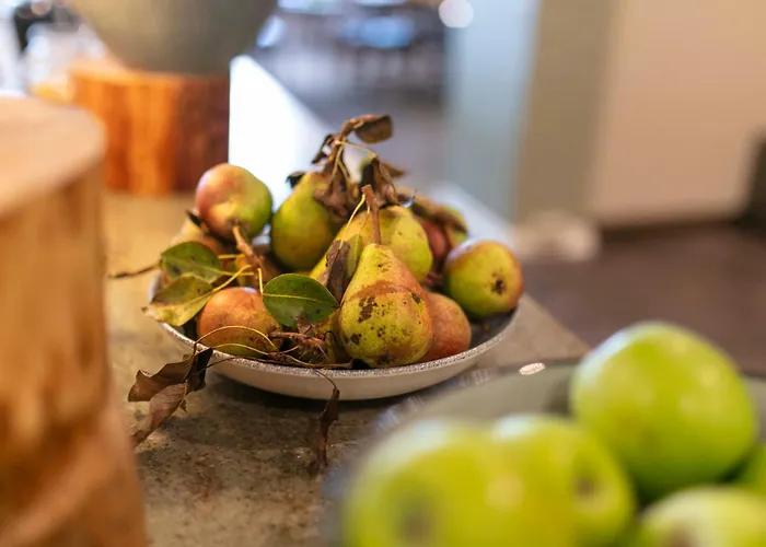 Fjelsted Skov & Konference Ejby (Middelfart)