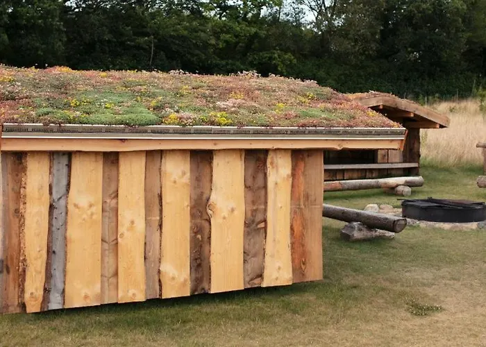 فندق Fjelsted Skov & Konference 3*