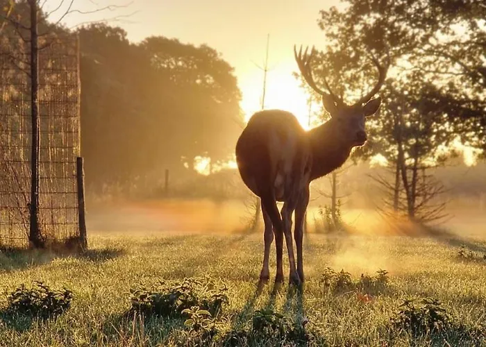 Fjelsted Skov & Konference Hotel