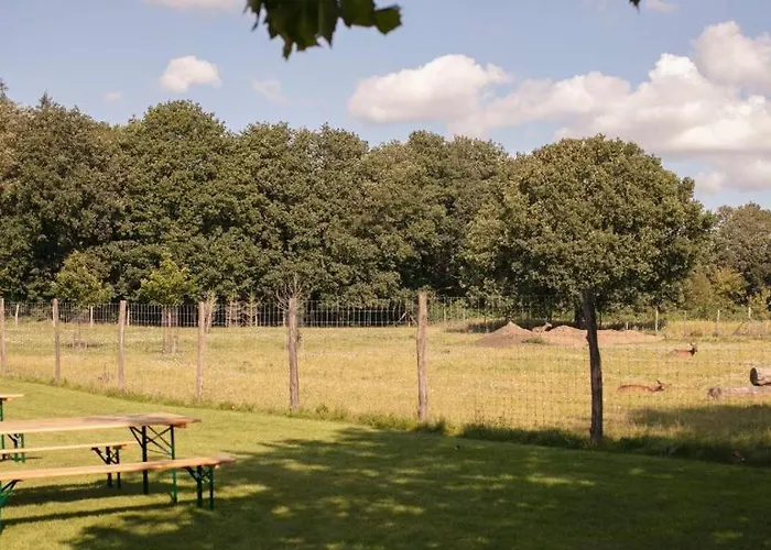 Hotel Fjelsted Skov & Konference