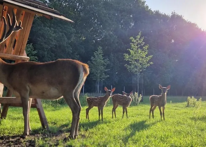 فندق Fjelsted Skov & Konference 3*