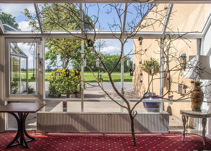 Fjelsted Skov & Konference 3* Ejby (Middelfart)