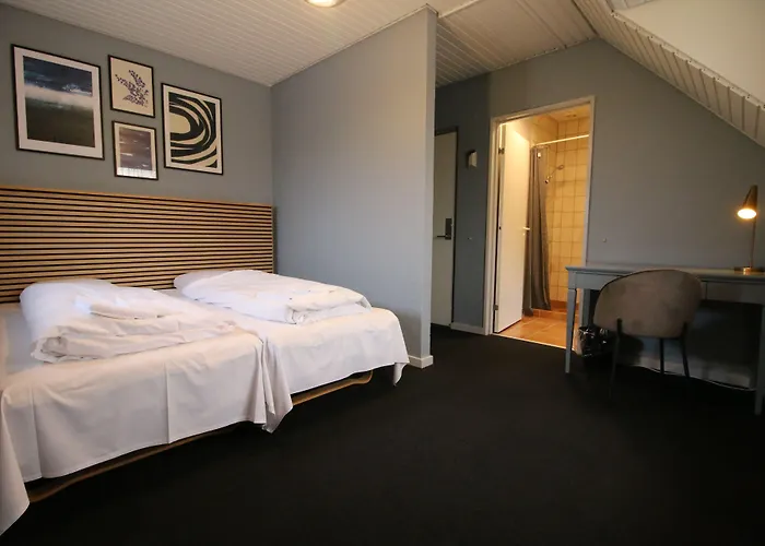 Fjelsted Skov & Konference 3* Ejby (Middelfart)