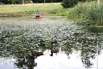 Fjelsted Skov & Konference Ejby (Middelfart)